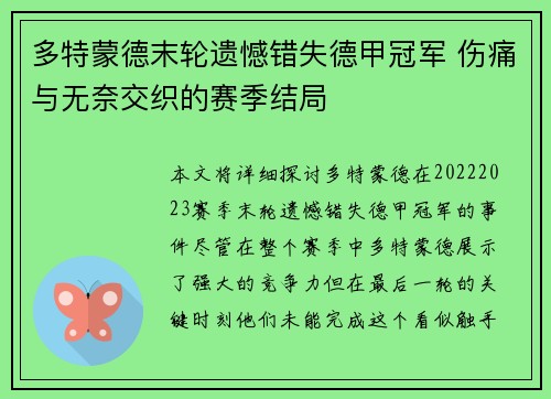 多特蒙德末轮遗憾错失德甲冠军 伤痛与无奈交织的赛季结局
